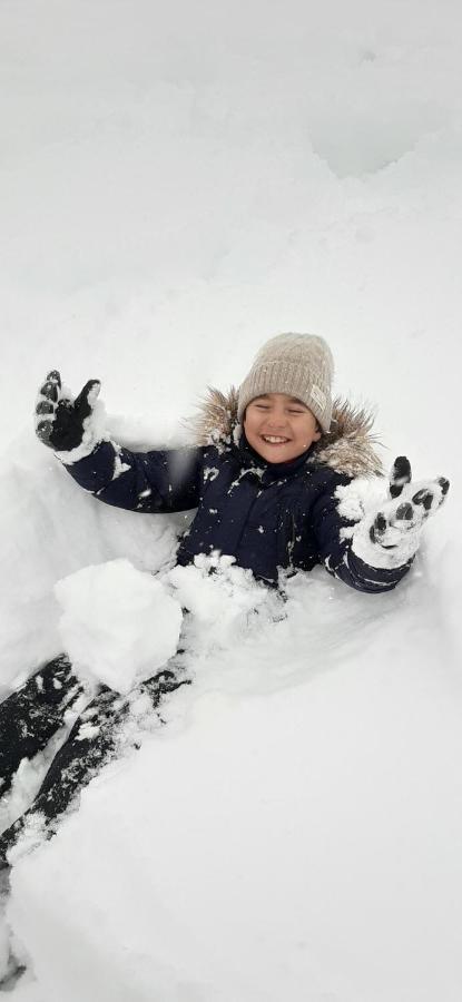 게스트하우스 15 카즈베기 외부 사진